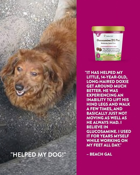A split-screen creative featuring an endearing dog photo on one side and a detailed user testimonial about joint health on the other.